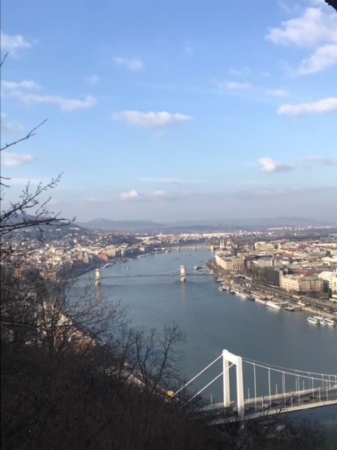 View of the Danumbe and Pest from Gellert Hill